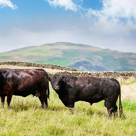 The Dalesman Country 4*