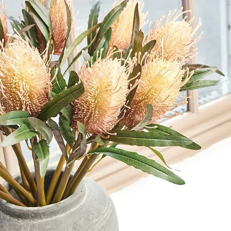 达尔斯曼乡村旅馆 4* 塞德伯