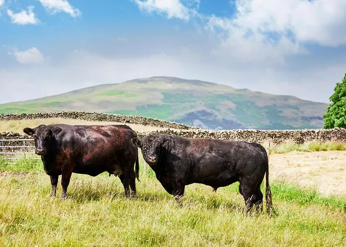 The Dalesman Country 4*